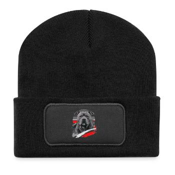 American Bully Hund Retro Design - Recycelte Patch Beanie - Schwarz - Vorne