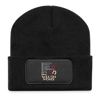 WELSH-PONY -Katze - Recycelte Patch Beanie - Schwarz - Vorne