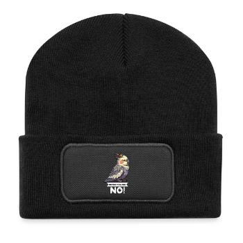Before You Ask No Cockatiel Cockatiel - Recycled Patch Beanie - black - Front