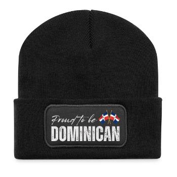Proud Dominican - Recycled Patch Beanie - black - Front