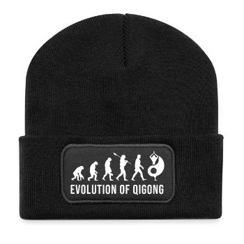 Evolution Qigong Qi Gong Tai Chi Chigong - Recycelte Patch Beanie - Schwarz - Vorne