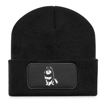 Laponie finlandaise - Beanie recyclé à patch - noir - Devant