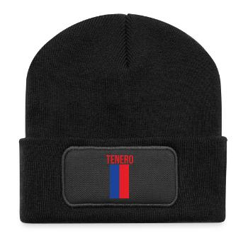 Tenero T-shirt in Ticino colors - Recycled Patch Beanie - black - Front