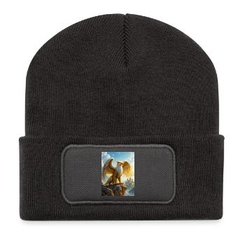 Diving griffin, lion body, eagle wings, hunting - Recycled Patch Beanie - dark grey - Front