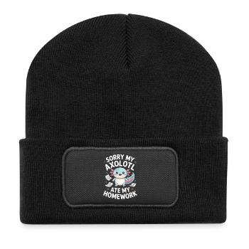 Axolotl Ate My Homework - Recycled Patch Beanie - black - Front
