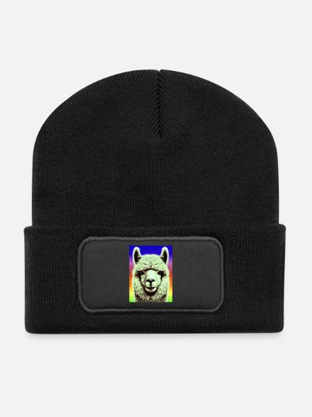 Alpaca - Recycled Patch Beanie - black
