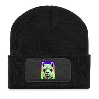 Alpaka - Recycelte Patch Beanie - Schwarz - Vorne