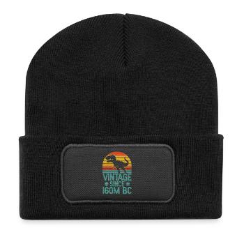 Vintage Dino T-Rex Retro Dinosaur Art from 160M BC - Recycled Patch Beanie - black - Front