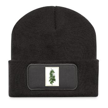 Plante verte dans un cadre doré - Beanie recyclé à patch - charbon - Devant