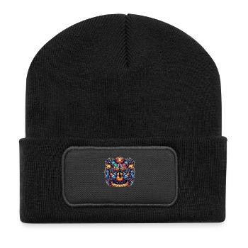 Live Concert Logo - Recycelte Patch Beanie - Schwarz - Vorne