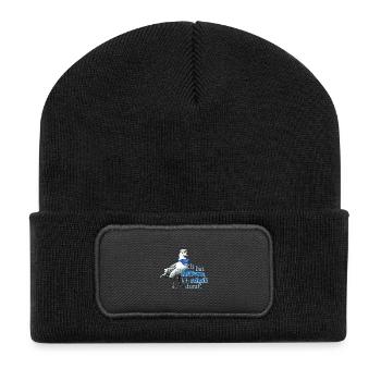 Funny Seagull with Saying - Fuck It! - Recycled Patch Beanie - black - Front