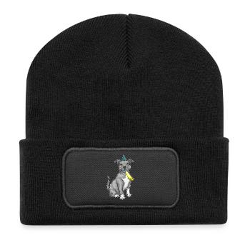 Pitbull Birthday Horn - Recycled Patch Beanie - black - Front