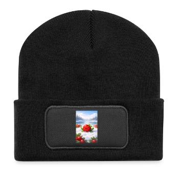 Priselberry - Dons du Grand Nord - Beanie recyclé à patch - noir - Devant