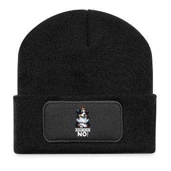 Before You Ask Australian Shepherd Aussie Aussies - Recycelte Patch Beanie - Schwarz - Vorne
