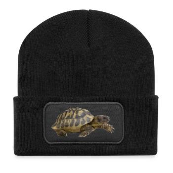 turtle tortoise animals animals9 - Recycled Patch Beanie - black - Front