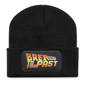 Brexshit to the Past Anti Brexit - BrexSHIT - BREX - Recycled Patch Beanie - black - Front