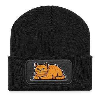 Vintage-rote Katzen-Tabby liegt still und leise Porträt - Recycelte Patch Beanie - Schwarz - Vorne