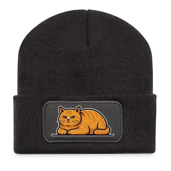 Vintage Red Cat Tabby Lying Quiet Portrait - Recycled Patch Beanie - dark grey - Front