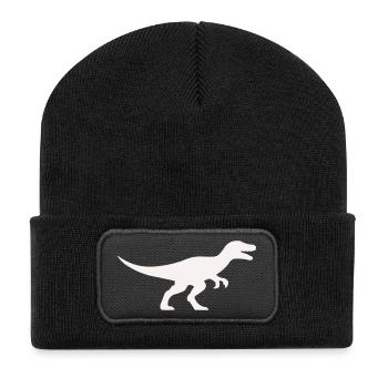 Raptor T Rex Silhouette - Beanie recyclé à patch - noir - Devant