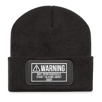 Harp - Recycled Patch Beanie - dark grey - Front
