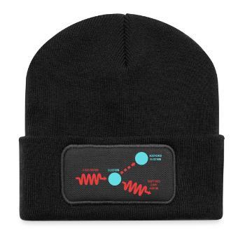 Quantum Physics Quantum Mechanics Quantum Leap - Recycled Patch Beanie - black - Front