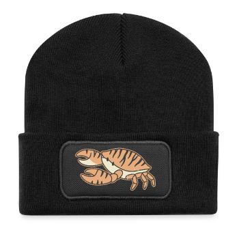 Orange Crab Striped Cartoon Tiger Stripes - Recycelte Patch Beanie - Schwarz - Vorne