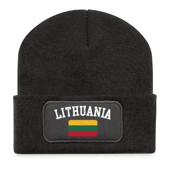 Litauen-Bogenflaggen-Tee - Recycelte Patch Beanie - Dunkelgrau - Vorne
