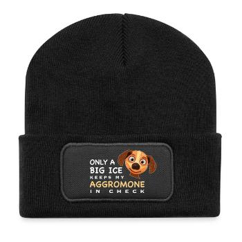 Lustiger Spruch, Eis hält mein Aggromon in Schach - Recycelte Patch Beanie - Schwarz - Vorne
