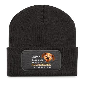Drôle de dicton, la glace tient mon aggromon à distance - Beanie recyclé à patch - charbon - Devant
