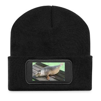 Seal pup on Texel - Recycled Patch Beanie - black - Front