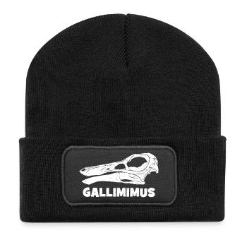 Fossile de crâne de Gallimimus - Beanie recyclé à patch - noir - Devant