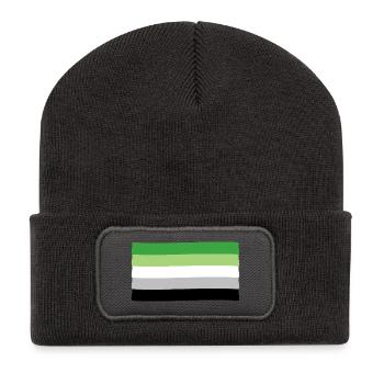 Aromantic Pride Flag - Recycled Patch Beanie - dark grey - Front