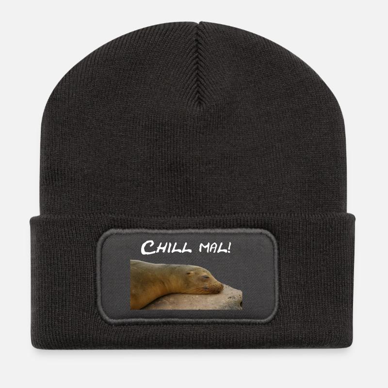 Robbe Chillt auf Stein - Recycelte Patch Beanie - Dunkelgrau