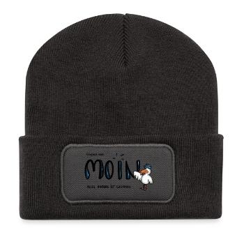 Moin Küstenseemöwe im Sailor-Style - Recycelte Patch Beanie - Dunkelgrau - Vorne