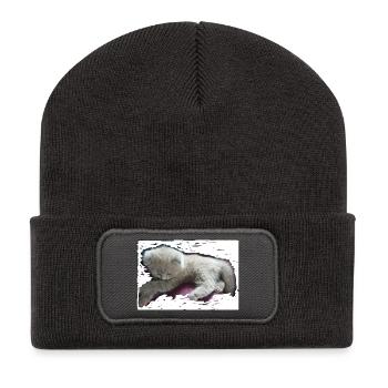 Cat - Recycelte Patch Beanie - Dunkelgrau - Vorne
