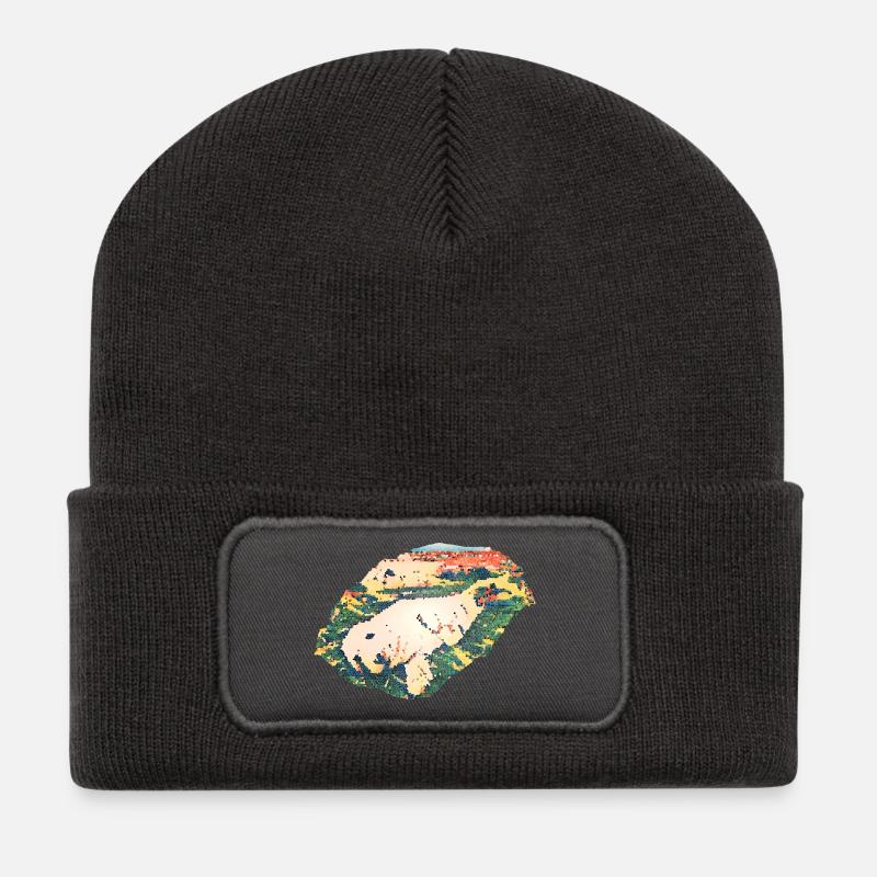 Robbe - Recycelte Patch Beanie - Dunkelgrau