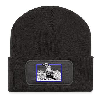 Phoque - Beanie recyclé à patch - charbon - Devant