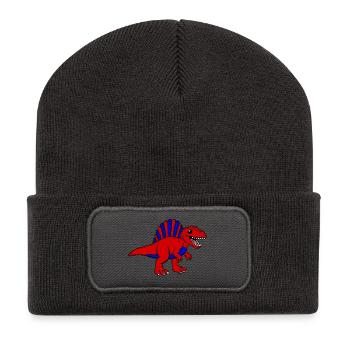 Dino - Recycled Patch Beanie - dark grey - Front