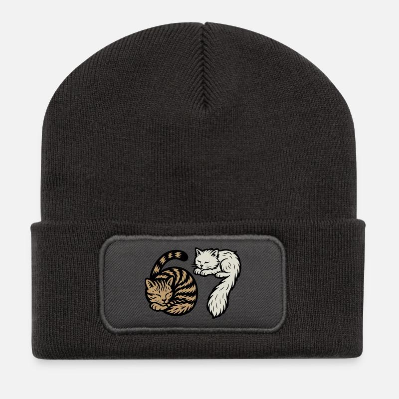 Sleeping 'Six Seven' cats - Recycled Patch Beanie - dark grey