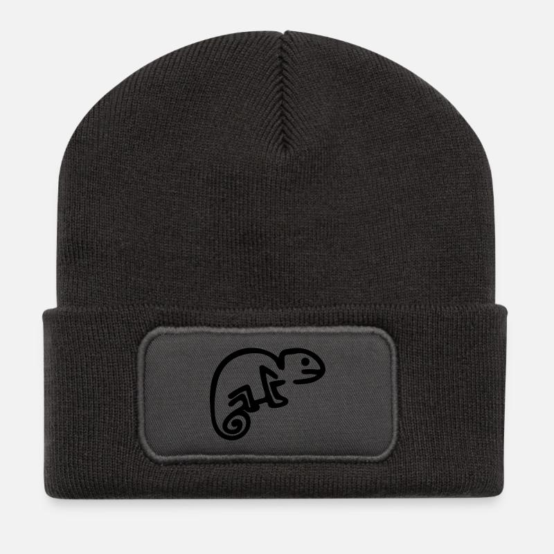 chameleon - Recycled Patch Beanie - dark grey