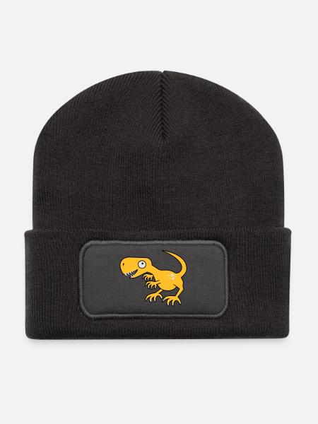 Dinosaur, dinosaur, Tyrannosaurus Rex - Recycled Patch Beanie - dark grey