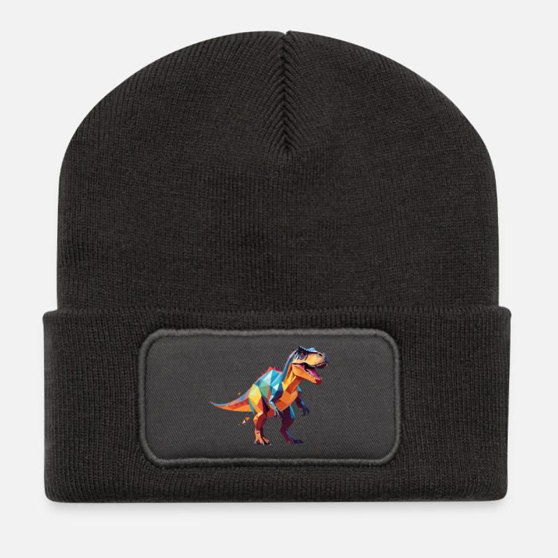 Dino2 - Recycelte Patch Beanie - Dunkelgrau
