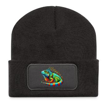 Iguana - Recycled Patch Beanie - dark grey - Front