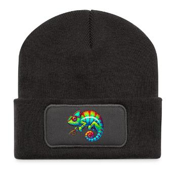 Chamäleon - Recycelte Patch Beanie - Dunkelgrau - Vorne