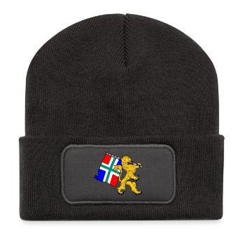 Löwe mit Flagge Groningen - Recycelte Patch Beanie - Dunkelgrau - Vorne