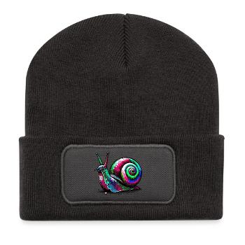 Snail - Recycled Patch Beanie - dark grey - Front