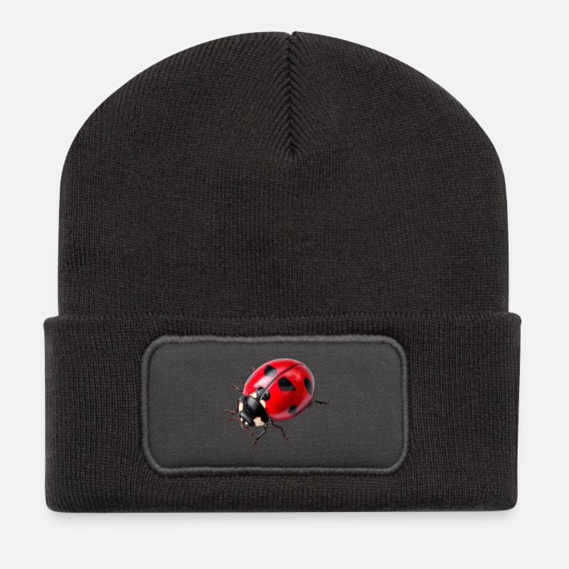 Marienkäfer weden auch Glückskäfer genannt - Recycelte Patch Beanie - Dunkelgrau