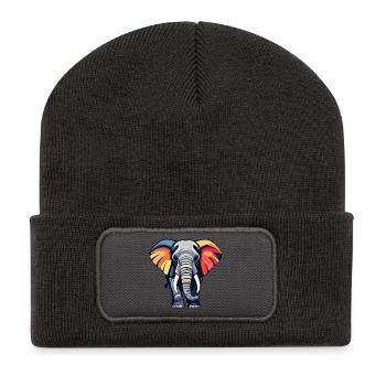 Colorful elephant with colorful ears - Recycled Patch Beanie - dark grey - Front