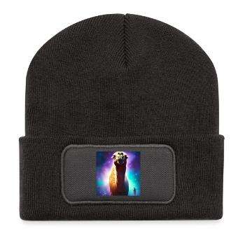Dromedar Kamel - Galaxie Weltraum - Recycelte Patch Beanie - Dunkelgrau - Vorne