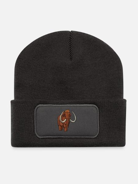 Mammoth colored - Recycled Patch Beanie - dark grey